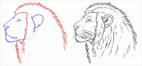 lion easy drawing template