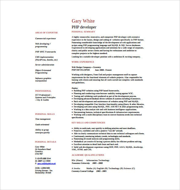 php-my-sql-developer-resume-pdf-template-free-download