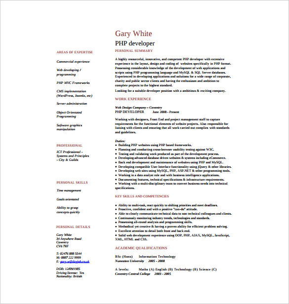 24+ PHP Developer Resume Templates - DOC, PDF