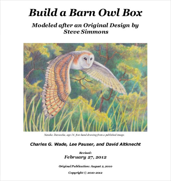 free-download-build-a-barn-owl-box-pdf