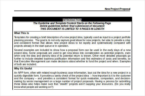 new project proposal free doc format template
