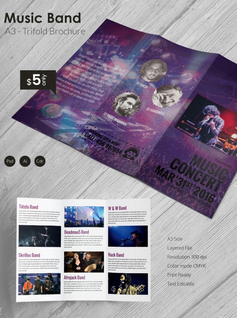 Beautiful Music Band A3 Tri Fold Brochure Template Free