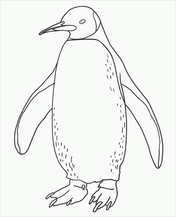 sample penguin template