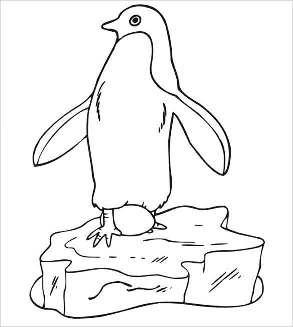 stone penguin template
