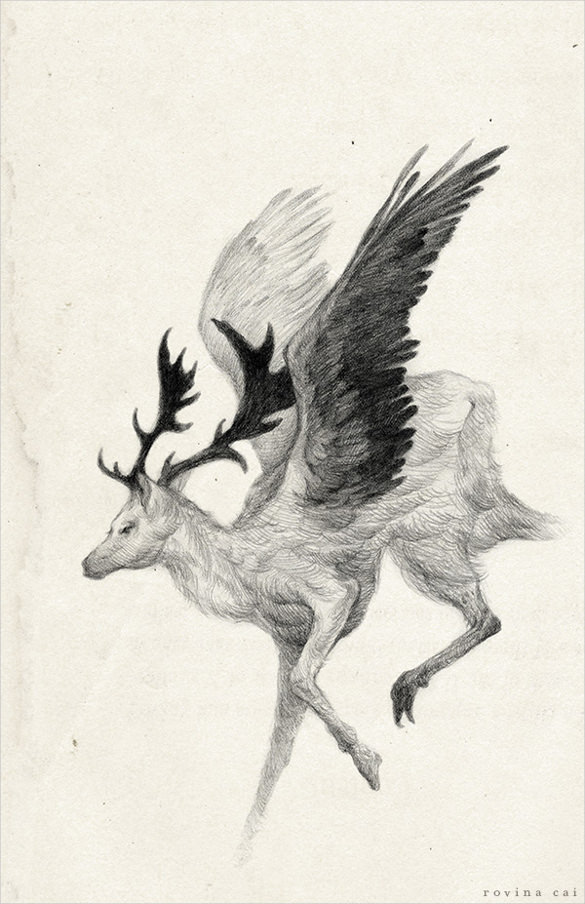 deer with wings drawing