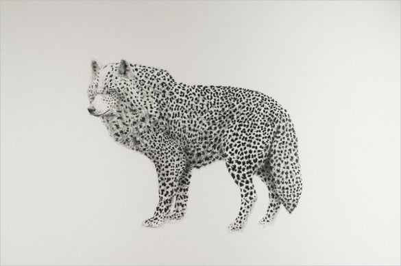 wild animal drawing