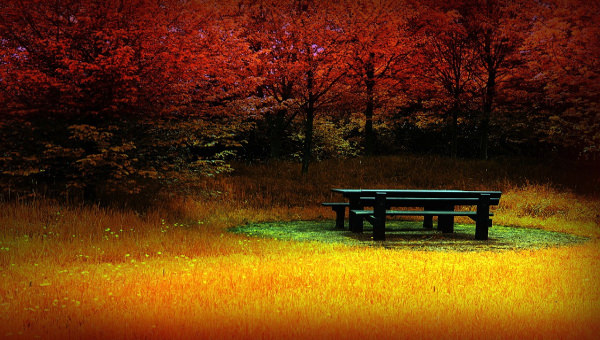 autumn nature wallpaper