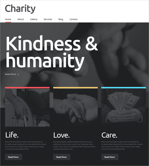 fundraising charity non profit html5 wordpress theme