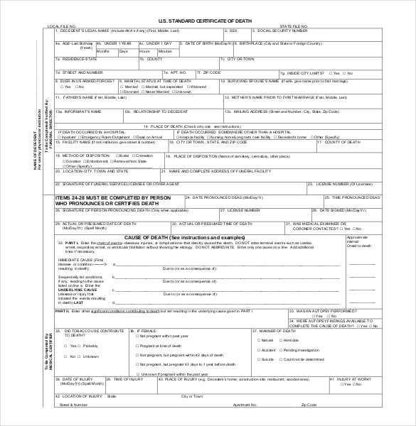 u s standard death certificate pdf file