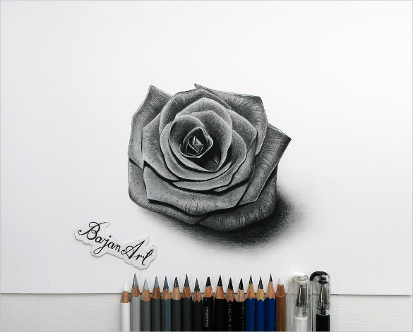 My Rose #rose #flower #pencil #drawing Greeting Card by Emma Carpenter