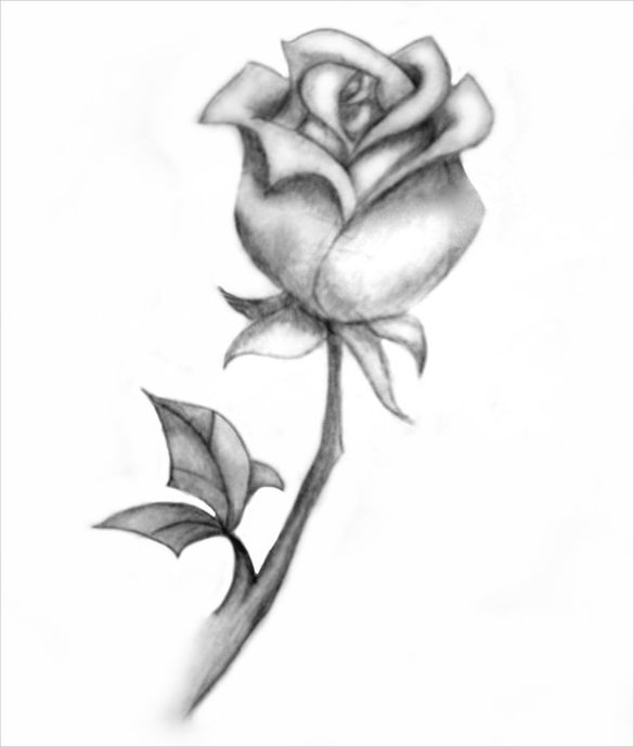 Easy How to Draw a Rose Tutorial Video and Rose Coloring Page