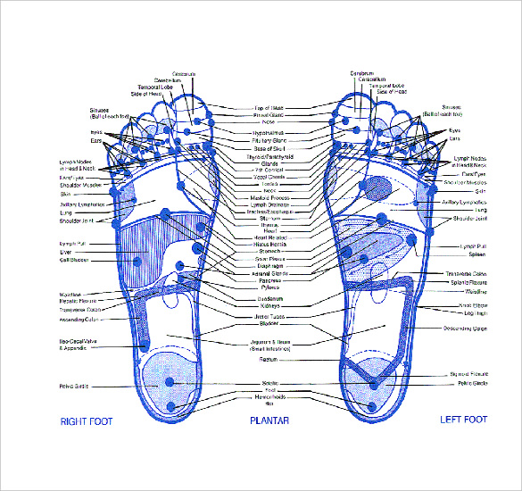 15+ Word Reflexology Chart Templates Free Download