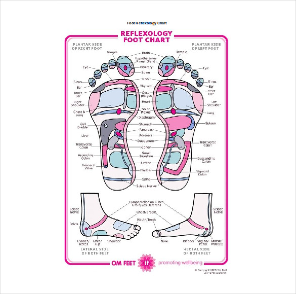 Reflexology Chart Left Foot