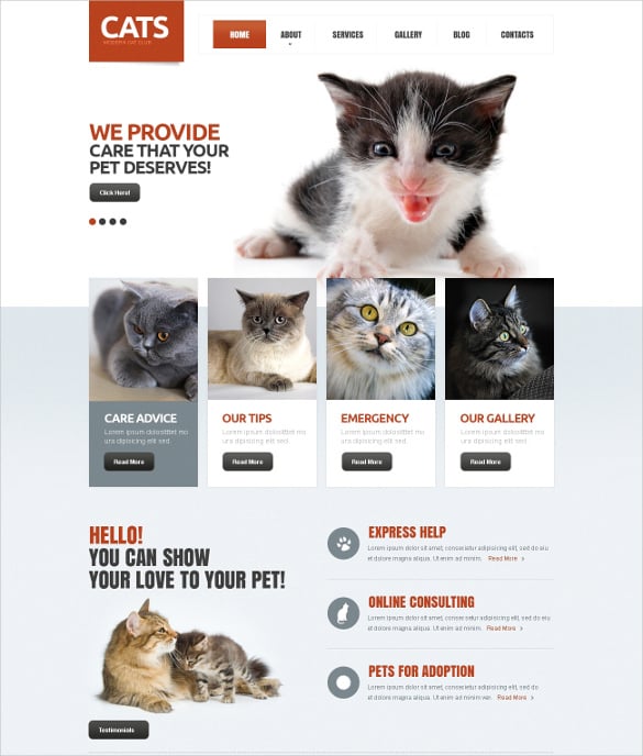 animal-pet-cat-responsive-drupal-template