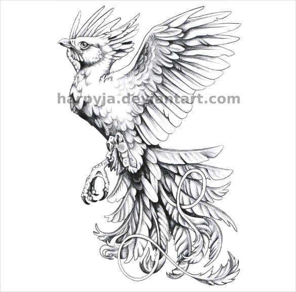 phoenix tatoo drawing download
