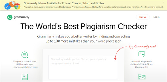 grammarly best plagiarism checker tool