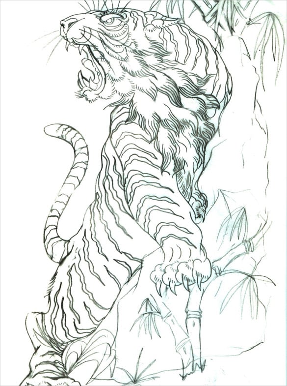tiger flash tattoo drawing