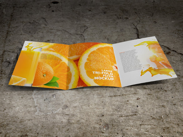 large trifold brochure template