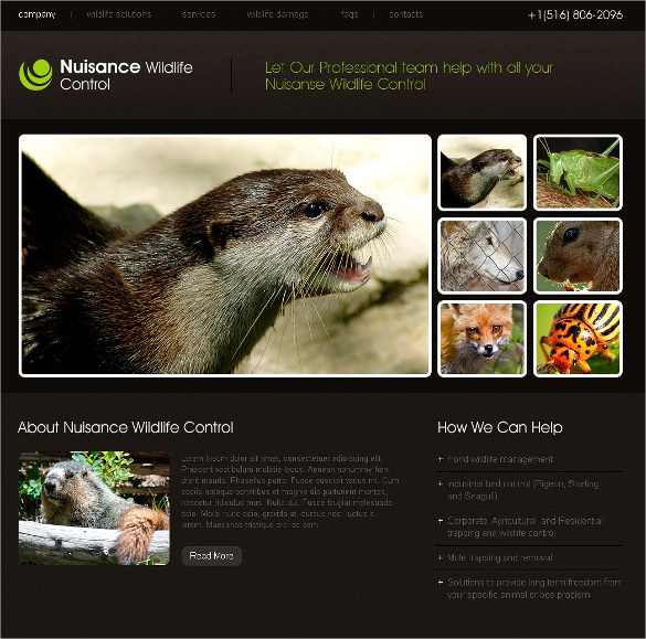 responsive wild life animal pets psd template