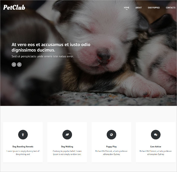 animal pets responsive one page psd theme