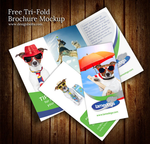 editable free tri fold brochure download