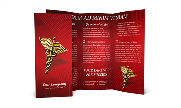 heart model brochure template download