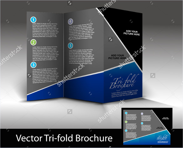 tri fold brochure design element vector illustration