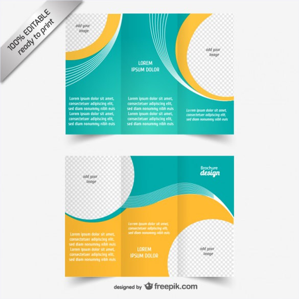 vector tri fold brochure template free download