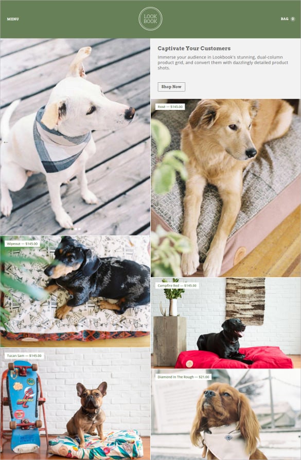ecommerce pet animal store website template
