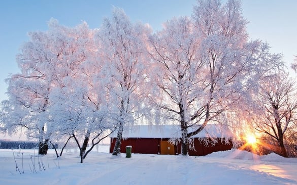 beautiful winter wallpaper download