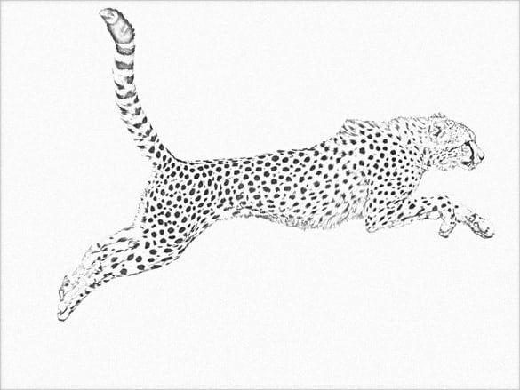 running cheetah drawing