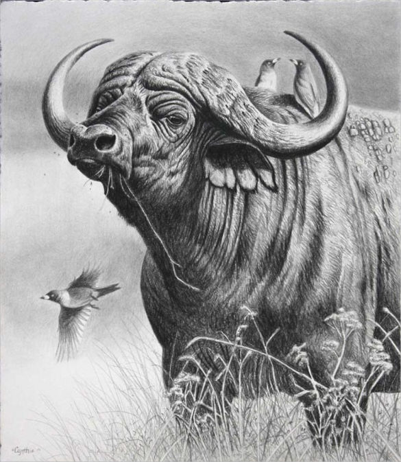 sketches of animals  pencil drawings of people Pencil Drawings Animals  Pencil  drawings Pencil drawings of animals Animal drawings