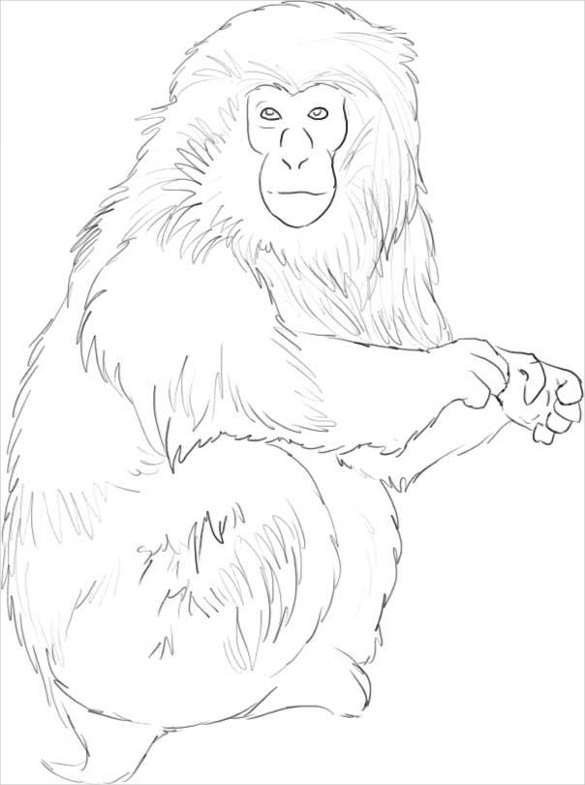 easy to draw monkey