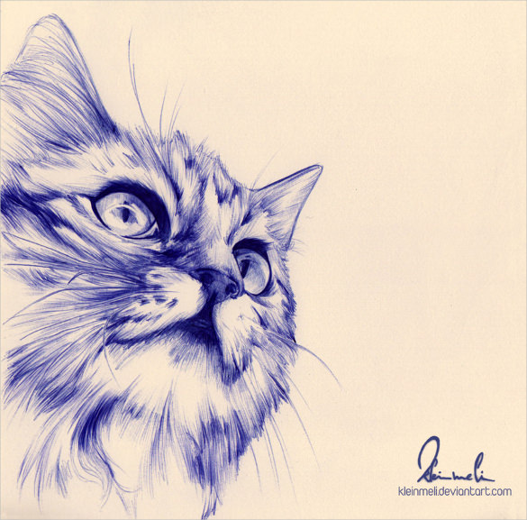 ballpoint pen cat drawing download