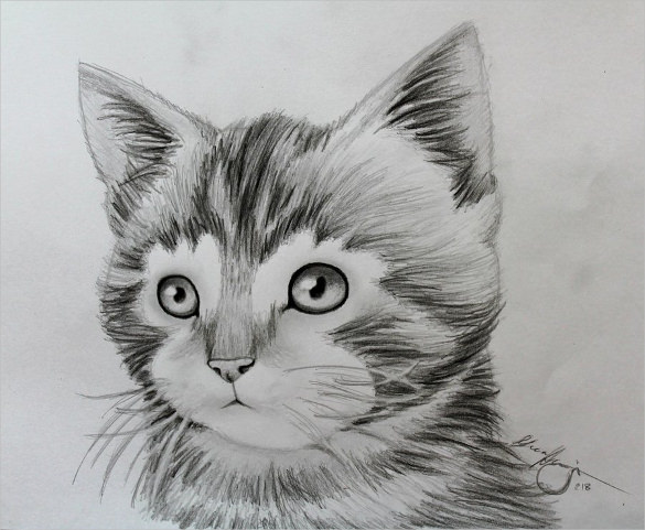 awesome drawing of kitten