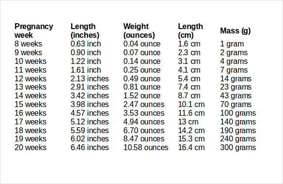 Unborn Baby Weight Chart Uk