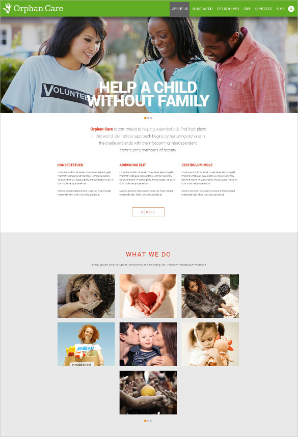 34+ Non Profit Website Themes & Templates Free & Premium Templates