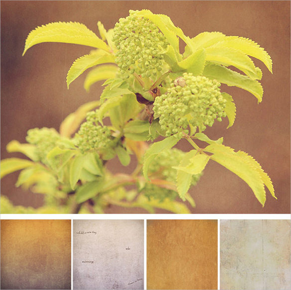 Textures 204+ Free JPG, PNG, PSD, AI, Vector EPS Format