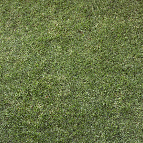 light green grass texture for download