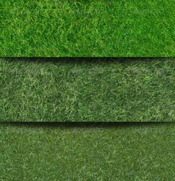 7 amazing grass textures for download