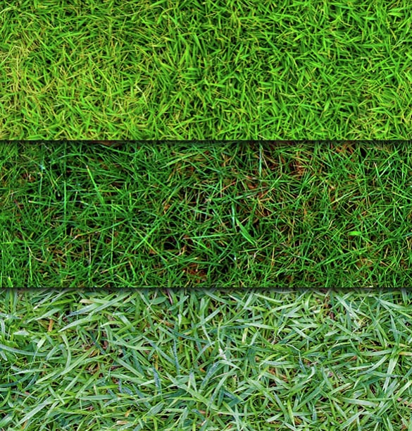 Grass Textures – 30+ Free JPG, PNG, PSD, AI, Vector EPS Format Download