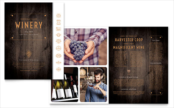 winery brochure template word