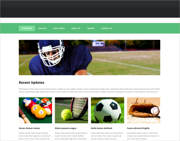 29+ Sports Website Themes & Templates