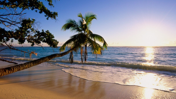 beach backdrop