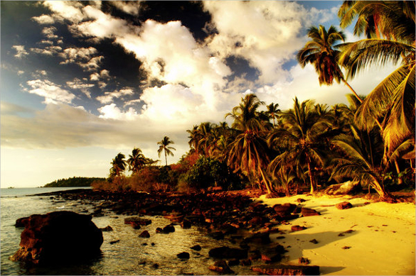 Dark Beach iPhone Dark Tropical HD phone wallpaper  Pxfuel