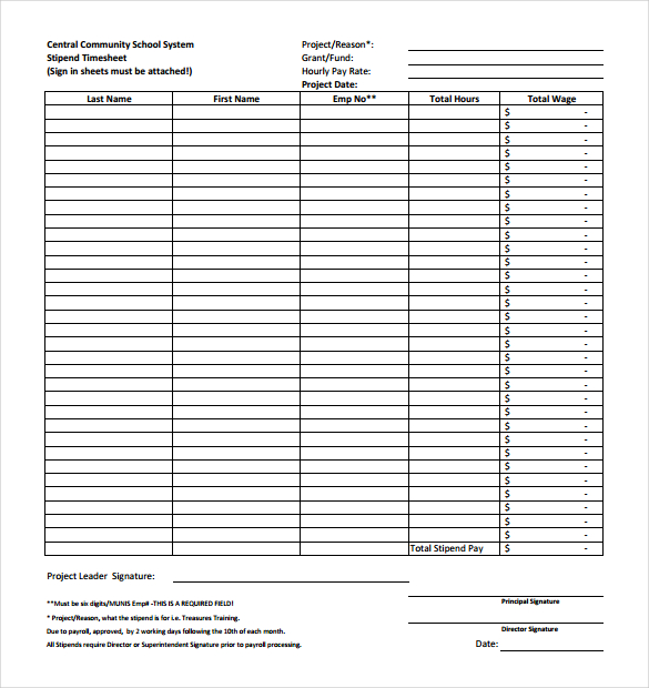 20+ Project Timesheet Templates & Samples - DOC, PDF, Excel
