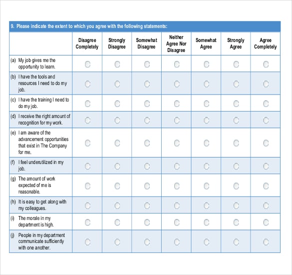 employee satisfaction survey detailed version pdf document