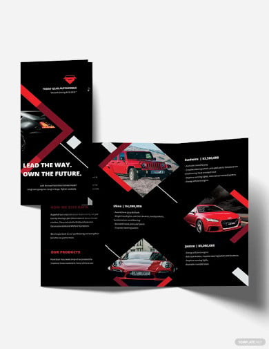 car advertisement tri fold brochure template