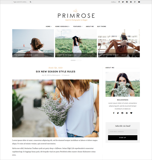 30+ Beauty Blog WordPress Themes & Templates