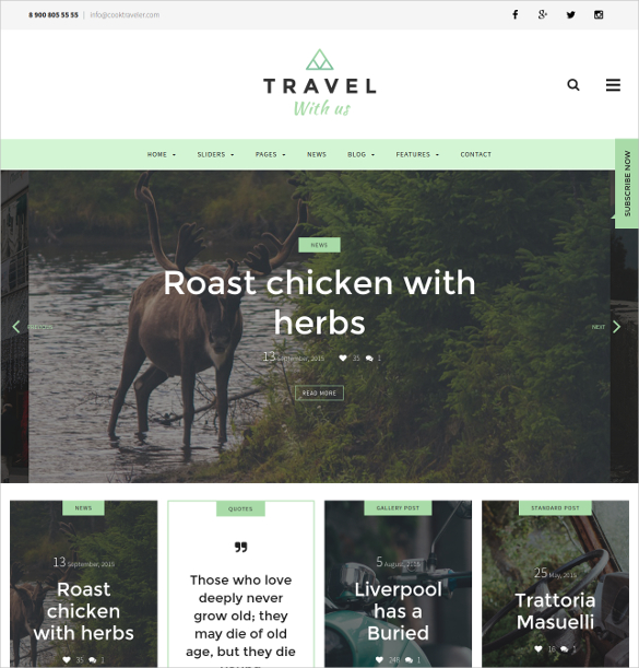 stylish traveler responsive blog wordpress theme